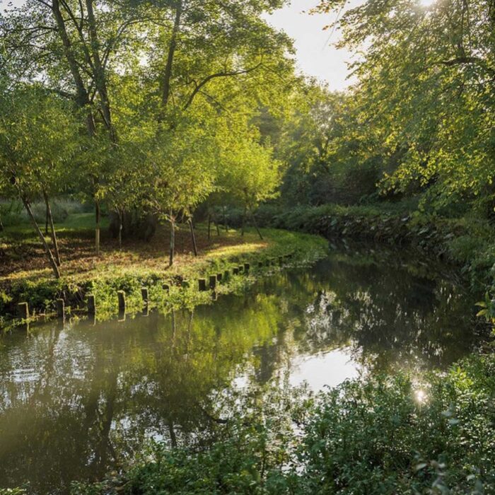 Trout fishing on the River Kennet for 10 rods (£130pp) – September 2021 | City Flickers Ltd